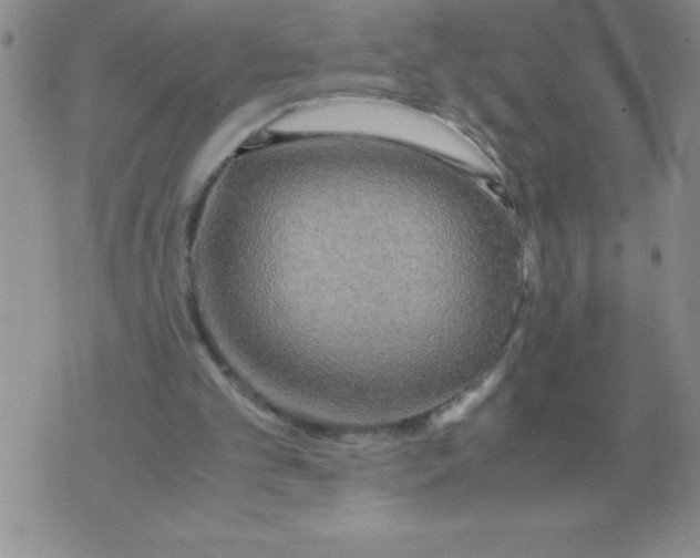 X0000071760101200607282158