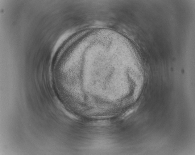 X0000071760102200607282158