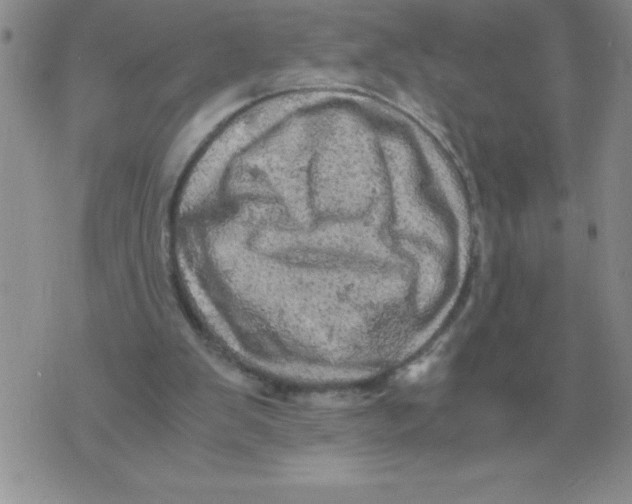 X0000071760103200607282157