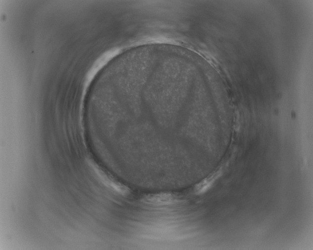 X0000071760104200607282157