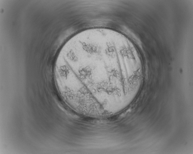 X0000071760107200607282157