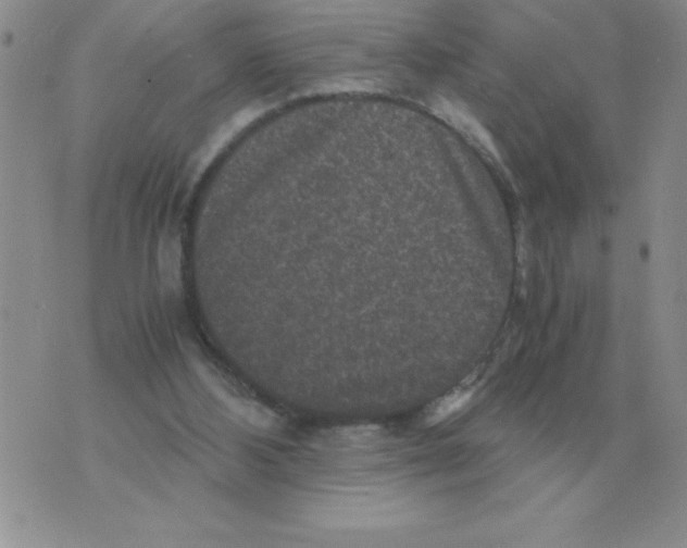 X0000071760108200607282157