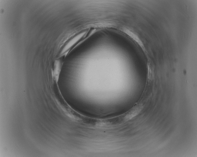 X0000071760109200607282157