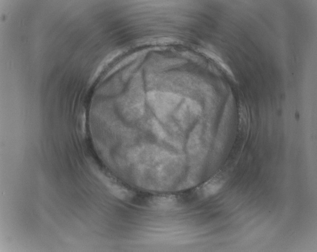 X0000071760110200607282157