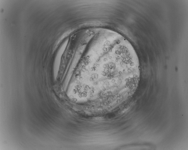 X0000071760111200607282157