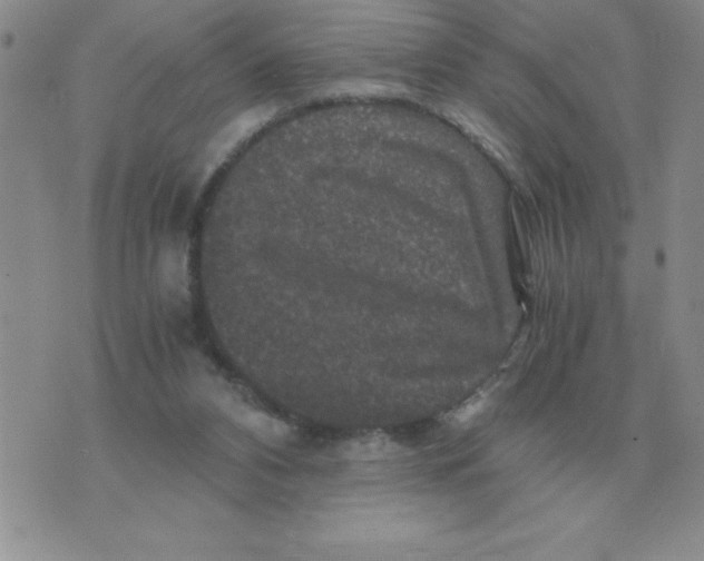 X0000071760112200607282157