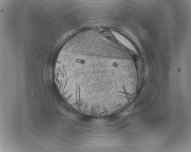 X0000071760115200607282157