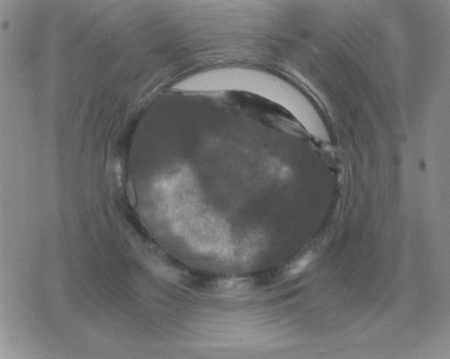 X0000071760117200607282157