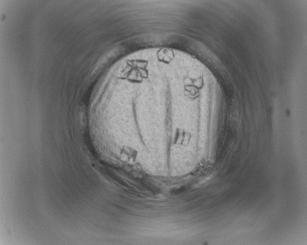 X0000071760119200607282157