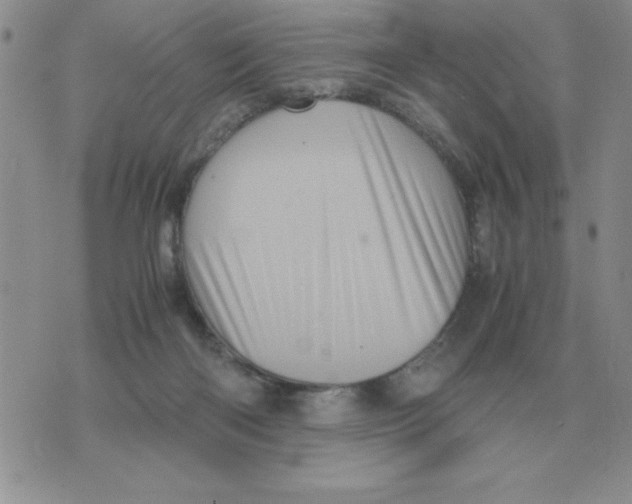 X0000071760122200607282157