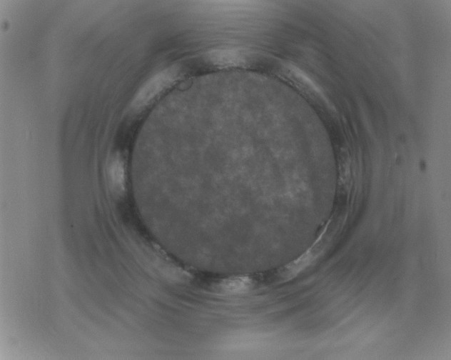 X0000071760124200607282157