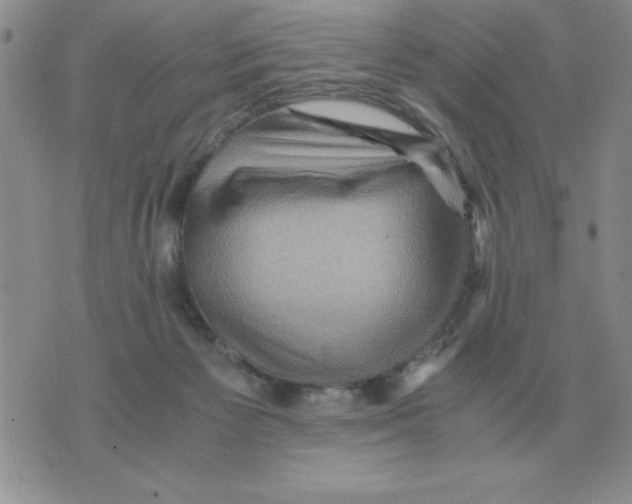 X0000071760125200607282157