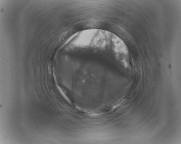 X0000071760127200607282157