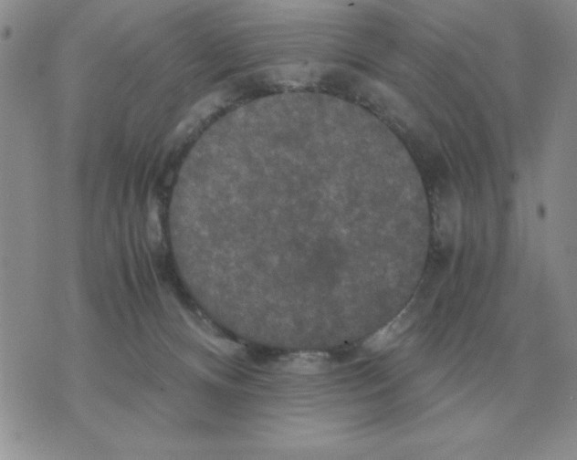 X0000071760128200607282157