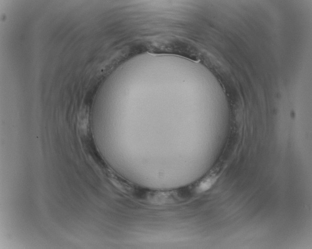 X0000071760129200607282157