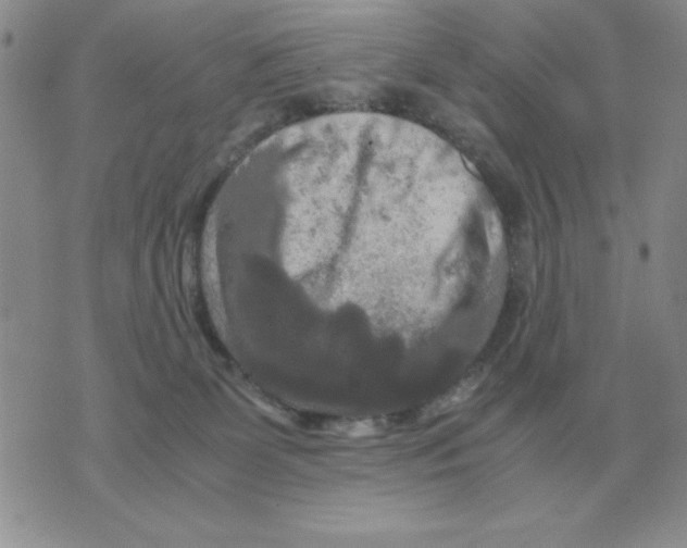 X0000071760131200607282157