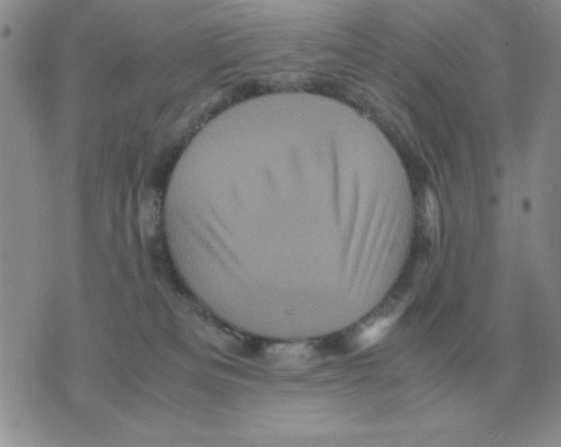 X0000071760133200607282157