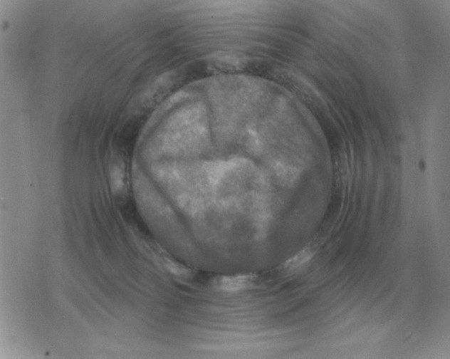 X0000071760134200607282157