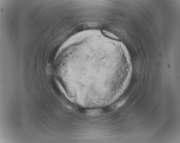 X0000071760135200607282157