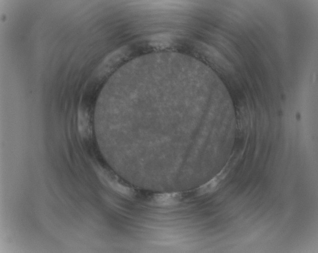 X0000071760136200607282157