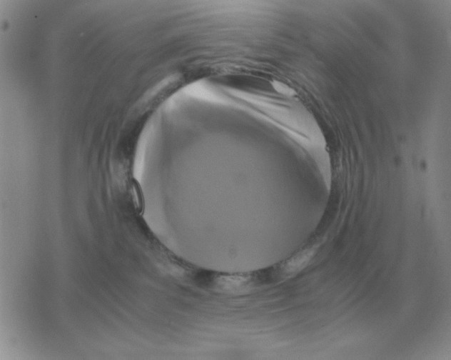 X0000071760139200607282157