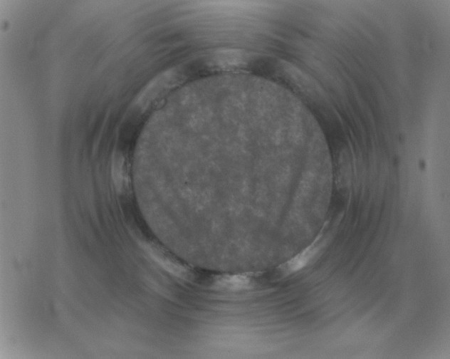 X0000071760140200607282157