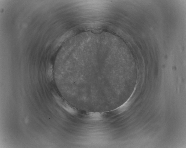 X0000071760144200607282157