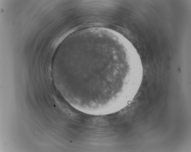 X0000071760146200607282156