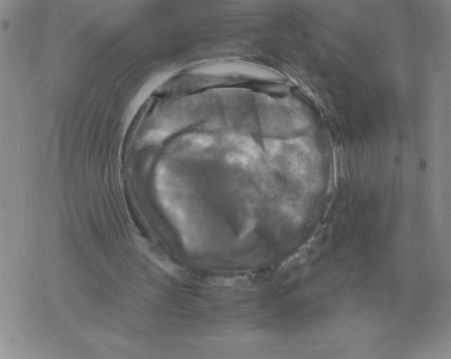 X0000071760147200607282156