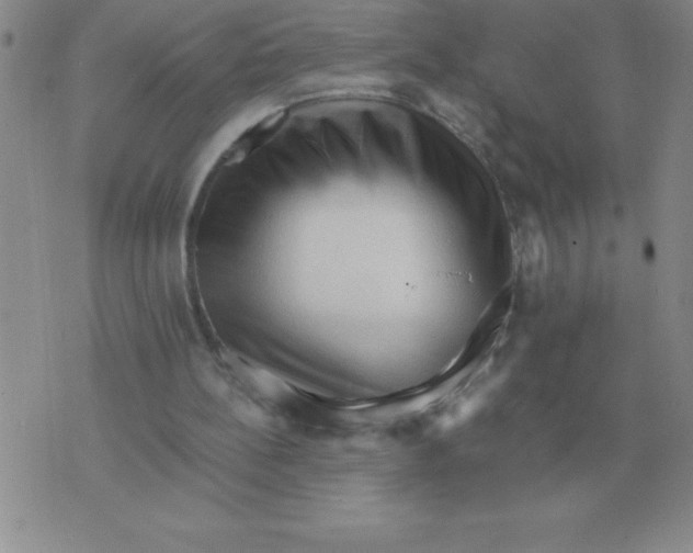 X0000071760148200607282156