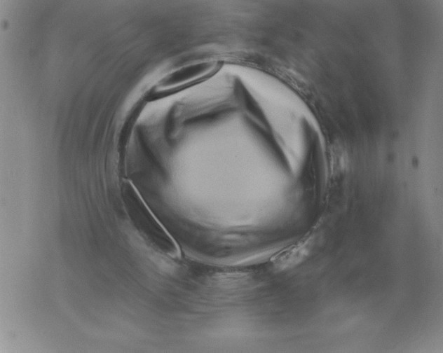 X0000071760150200607282156