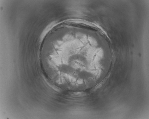 X0000071760151200607282156