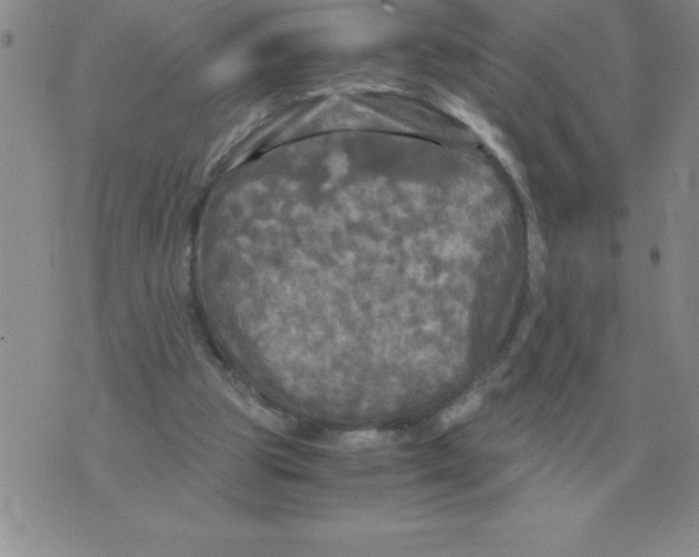 X0000071760153200607282156