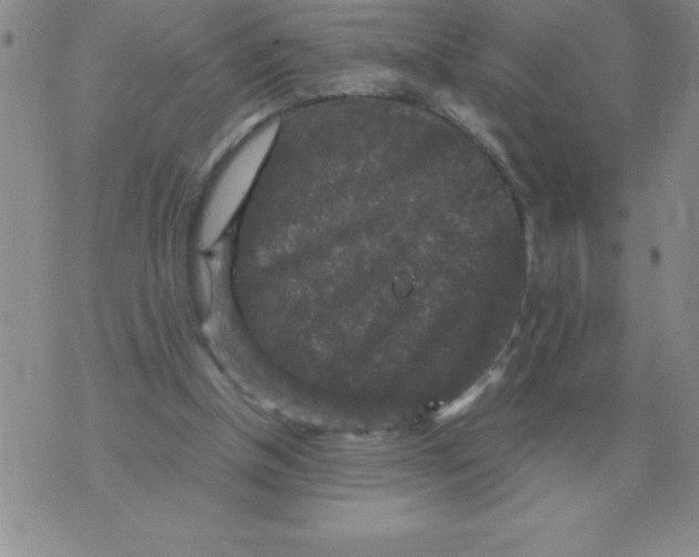 X0000071760154200607282156