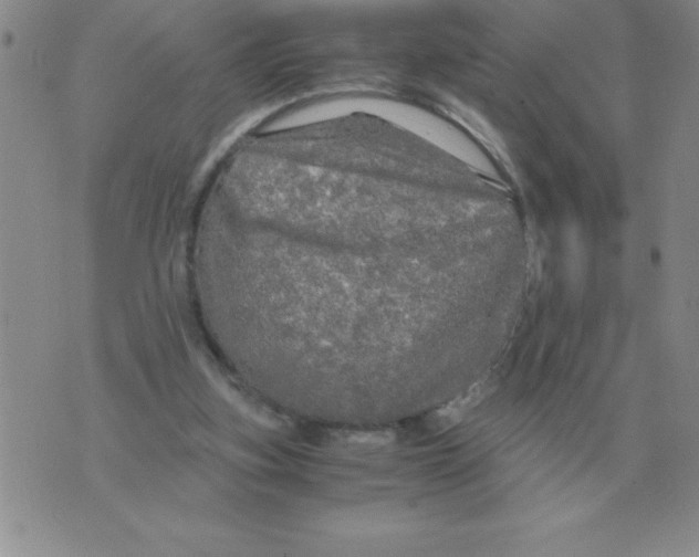 X0000071760155200607282156