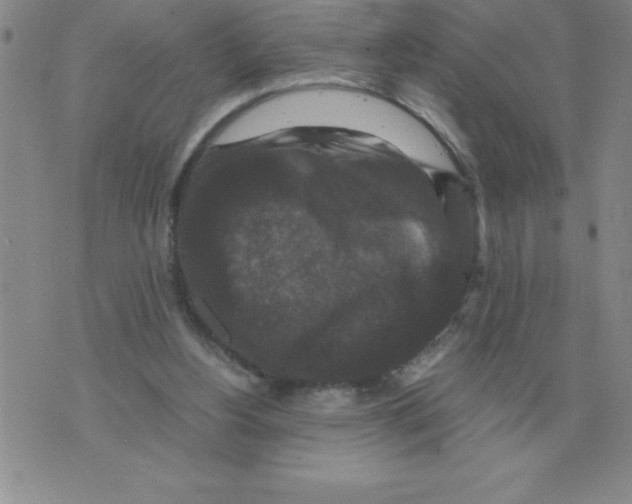 X0000071760156200607282156