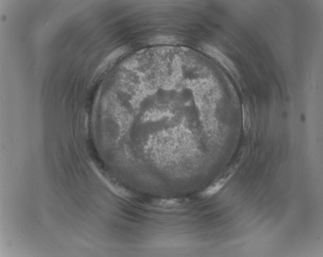 X0000071760157200607282156