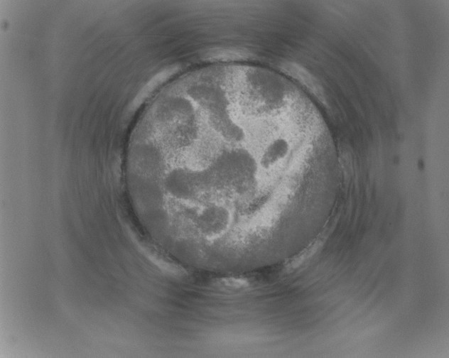 X0000071760159200607282156