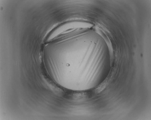 X0000071760160200607282156