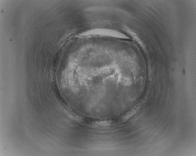 X0000071760161200607282156