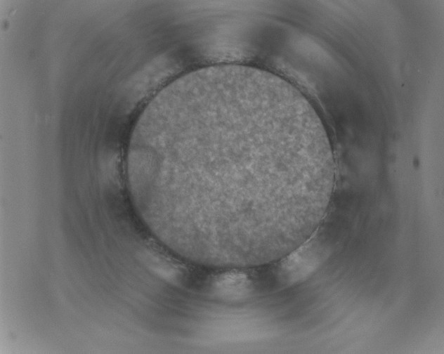 X0000071760162200607282156