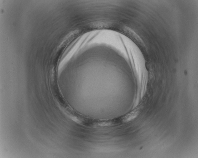 X0000071760163200607282156