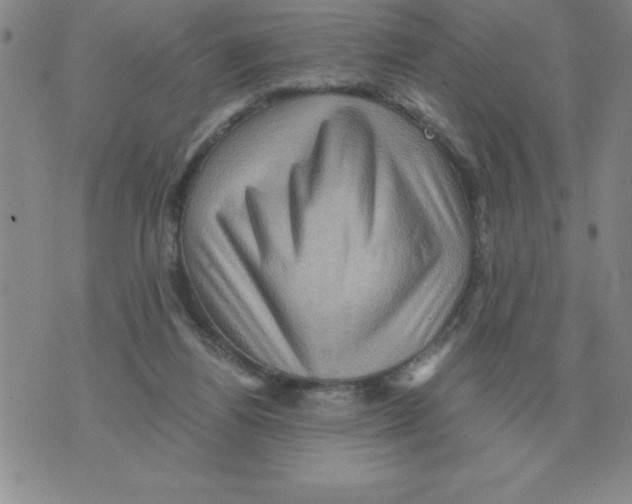 X0000071760164200607282156