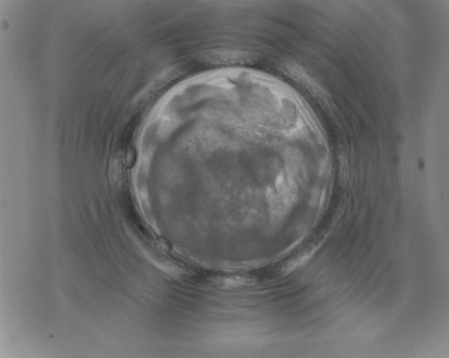 X0000071760165200607282156