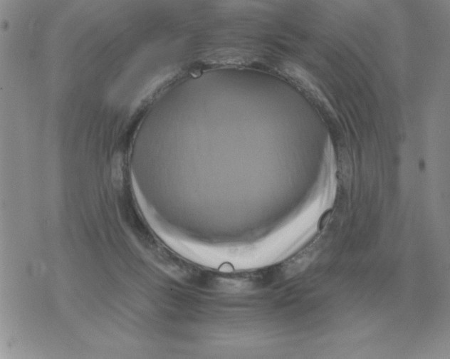 X0000071760167200607282156