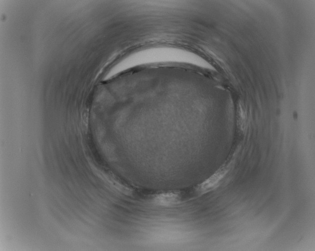 X0000071760168200607282156