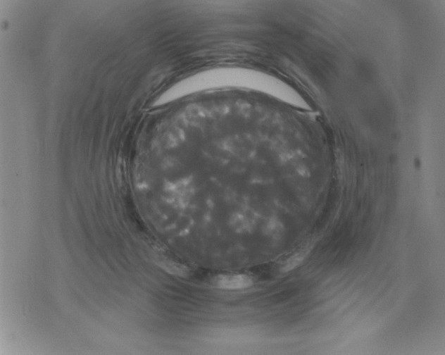 X0000071760169200607282156