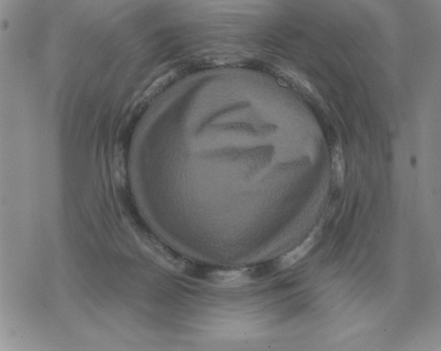 X0000071760170200607282156