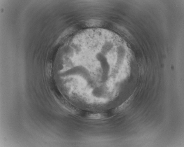 X0000071760171200607282156