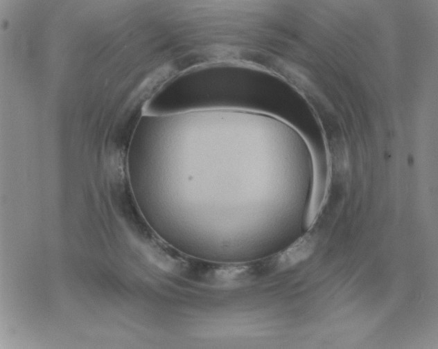 X0000071760172200607282156